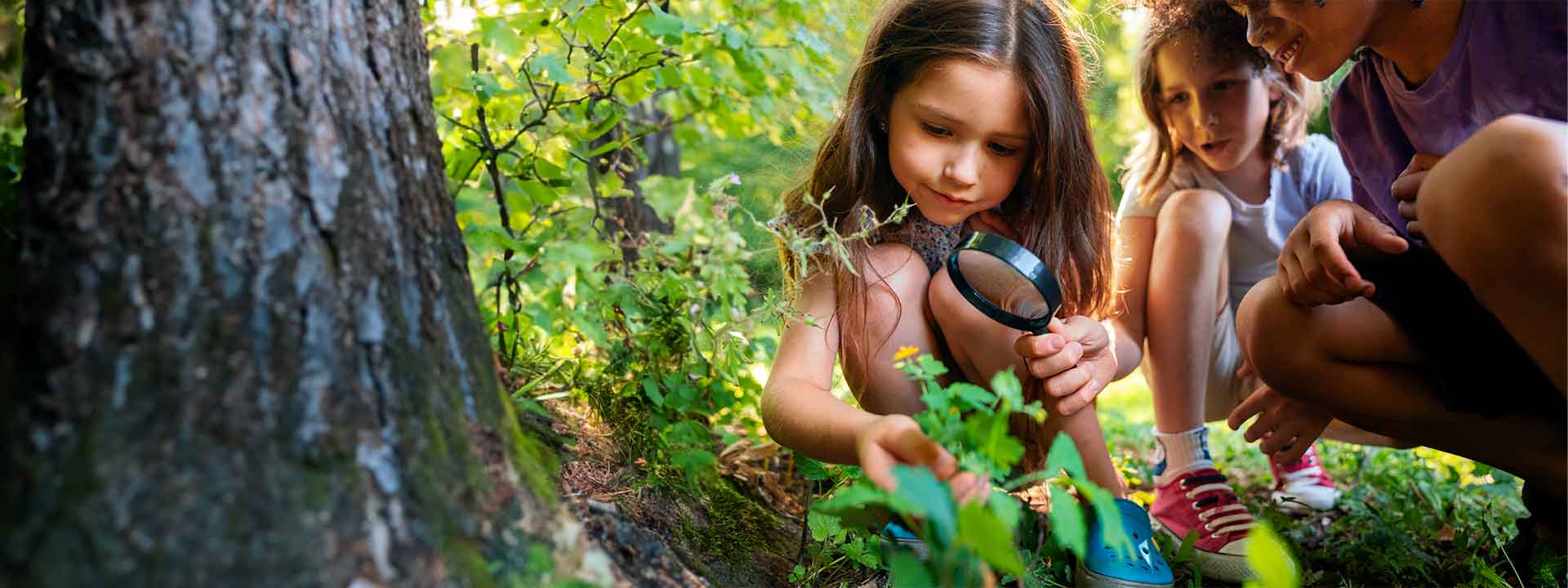 Erken Çocukluk Döneminde Doğa ve Fen Eğitimi